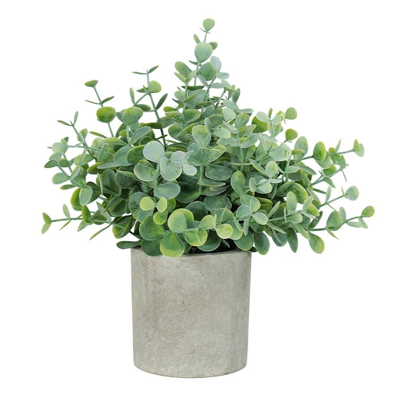 Eucalptus Pot Mint Green 22cm