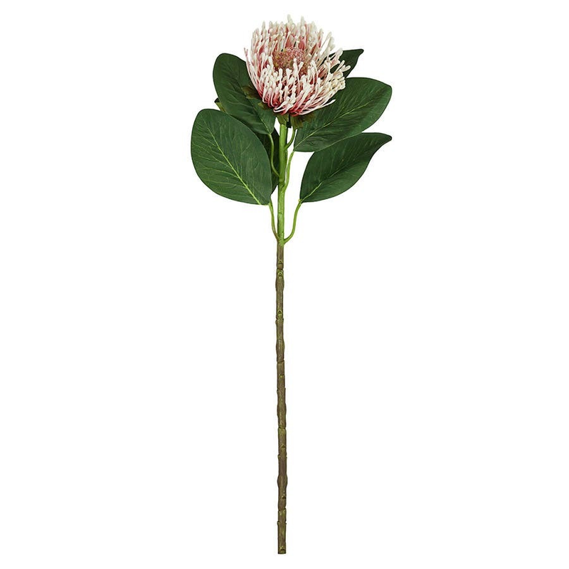 Protea Spray Pink 63cm