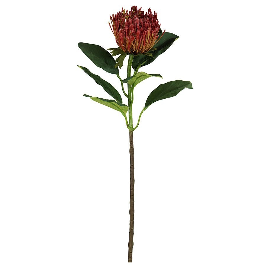 ACCSAPFL04572RR_1.png