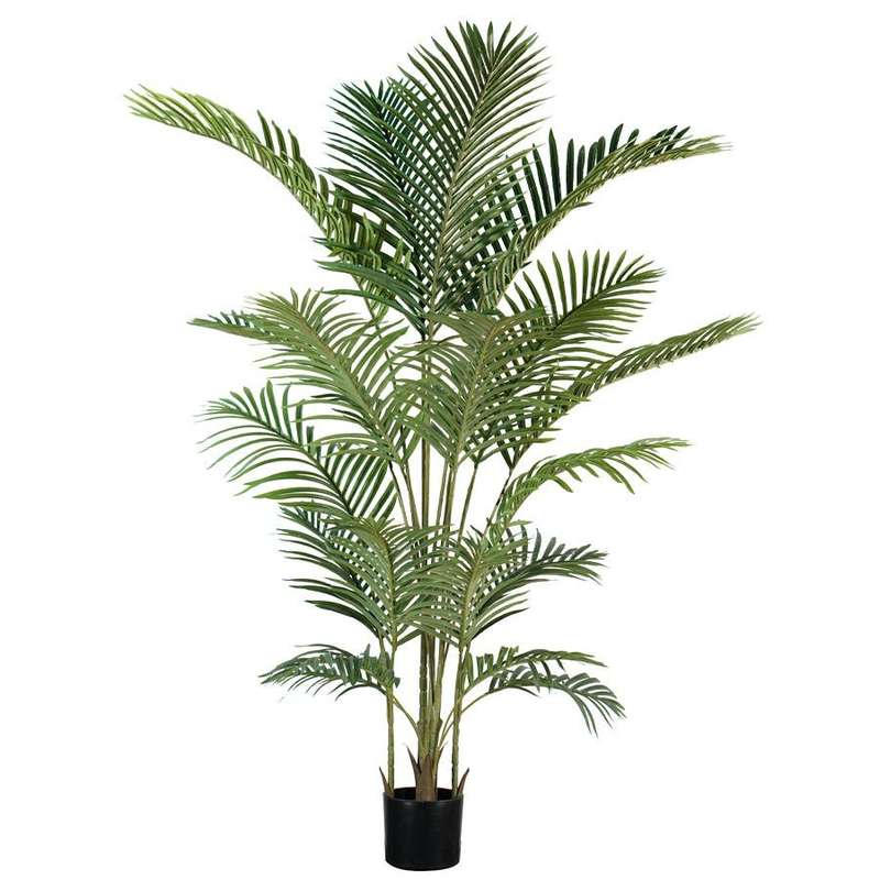 Palm Tree in Pot 180cm