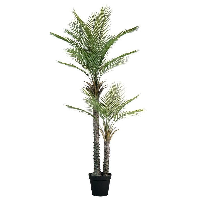 Palm Tree in Pot 190cm