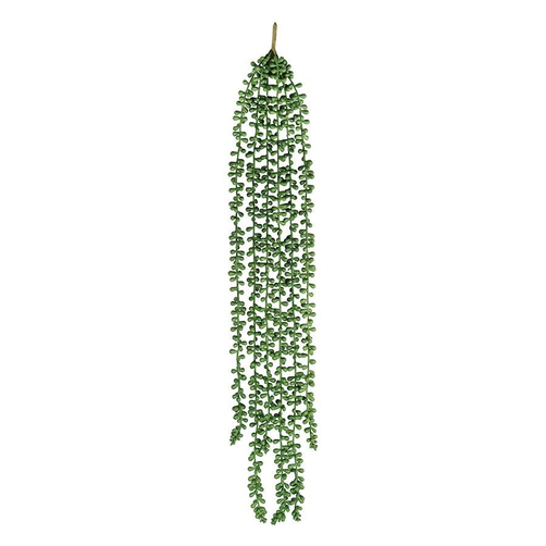 ACCSAPSCL172670_1.png