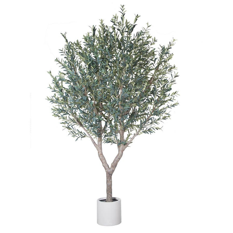 Olive Tree 2.8m Cream Pot No Olives