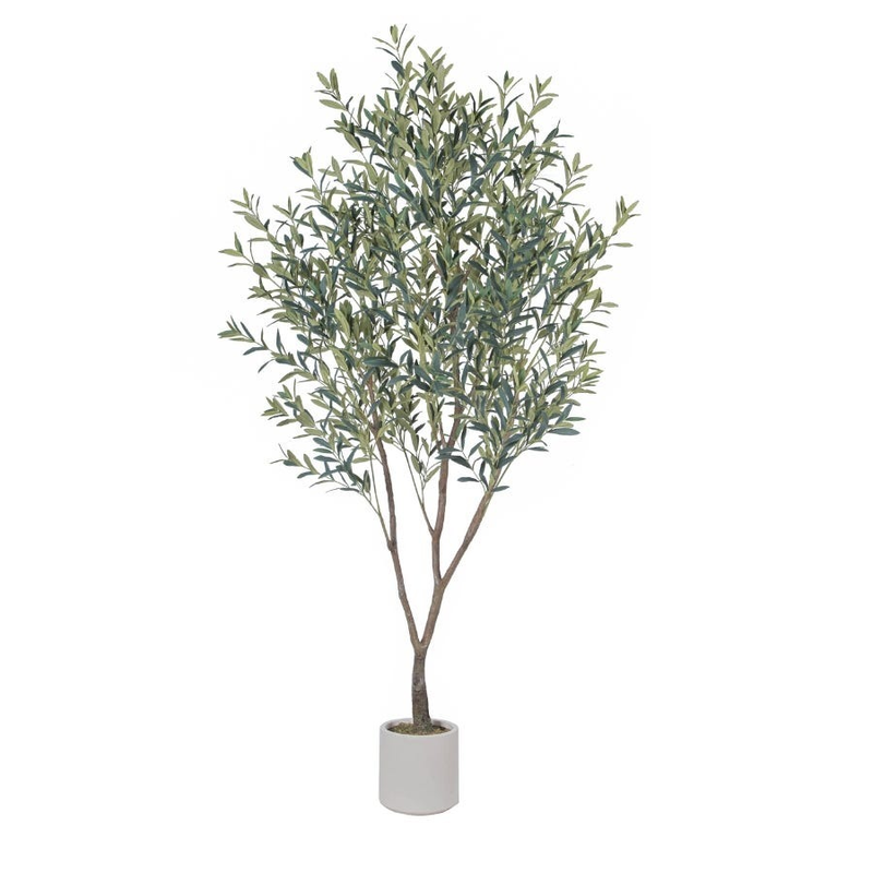 Olive Tree 2.05m Cream Pot No Olives