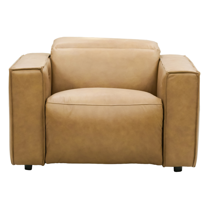 Barnes 1 Seater Leather Lounge Electric Recliner