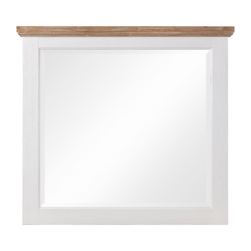 MIRRORCLEMENTINE_1.png