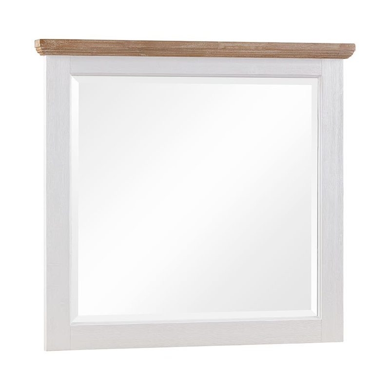 Clementine Two Toned Mirror