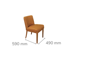Guyra Tan Leather Dining Chair