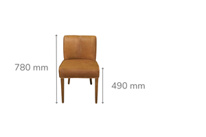 Guyra Tan Leather Dining Chair